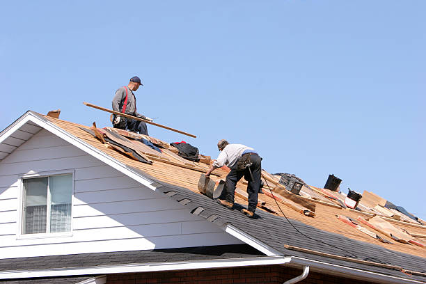 Best Emergency Roof Repair Services  in Mino, CA